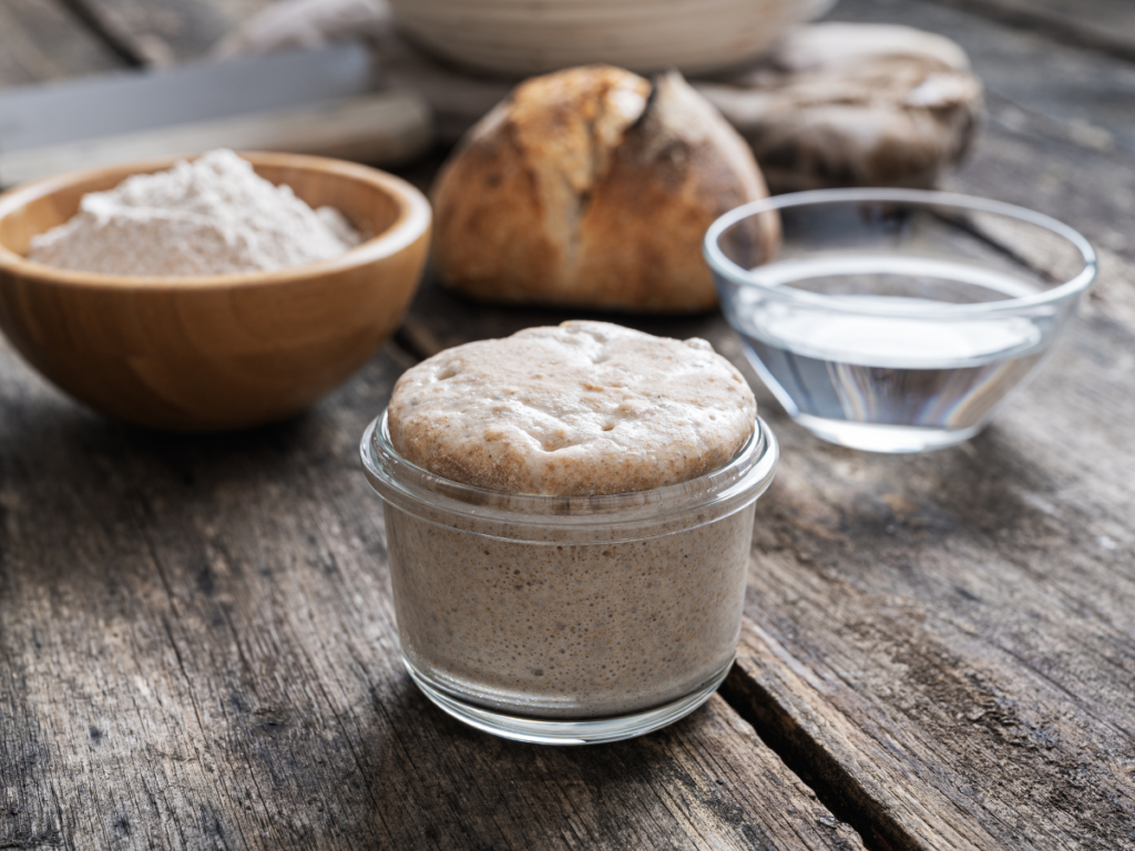 How do you keep a gluten free sourdough starter?